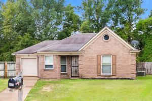 featured image of 9923 Adina Cv