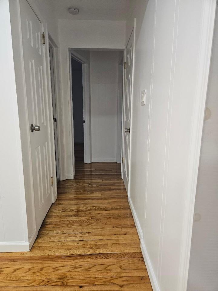 49th St & Catskill Ave - Photo 3 of 11