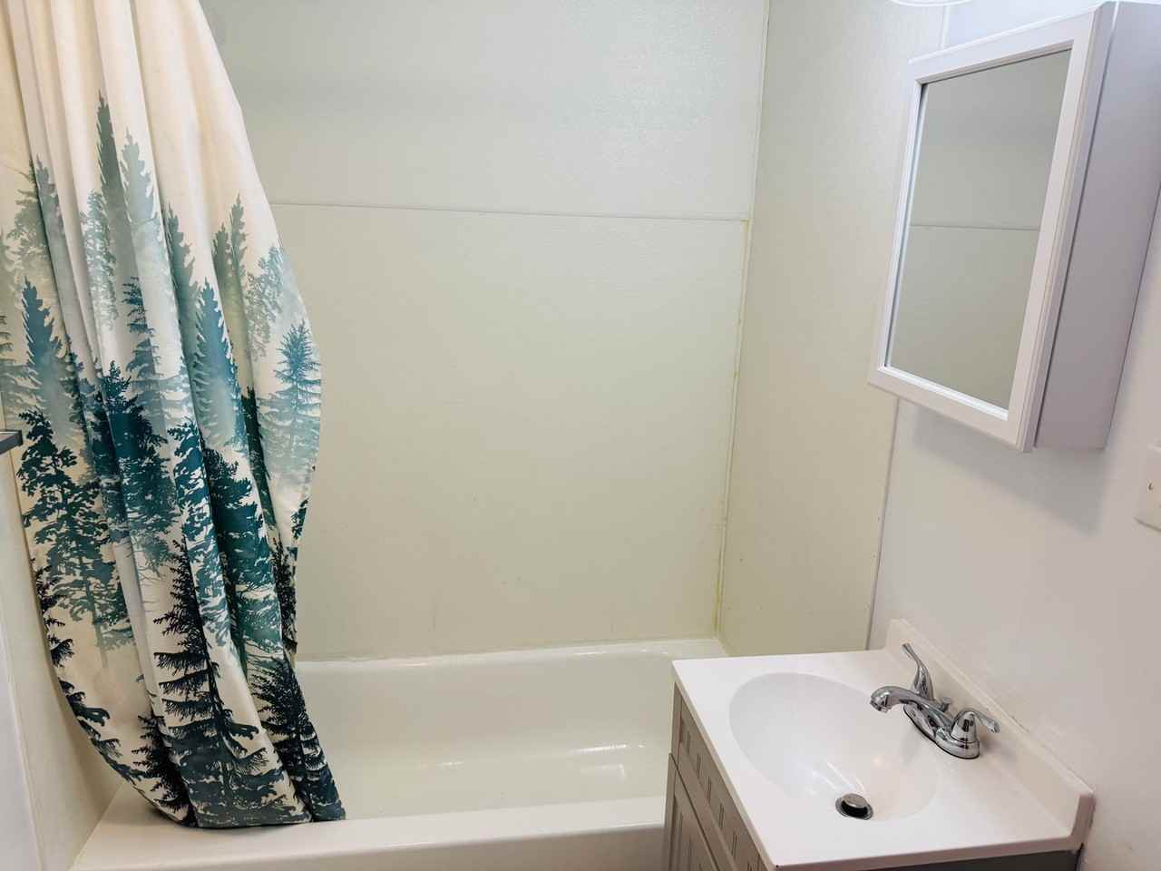 2416 1/2 11th Ave N - Photo 5 of 12
