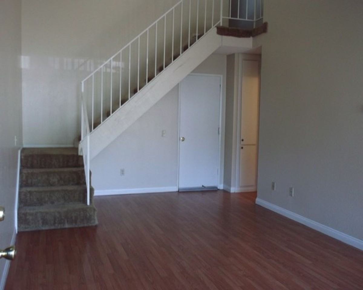 Park Magnolia - Photo 6 of 8