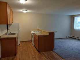3030 Irving Ave S - Photo 1 of 1