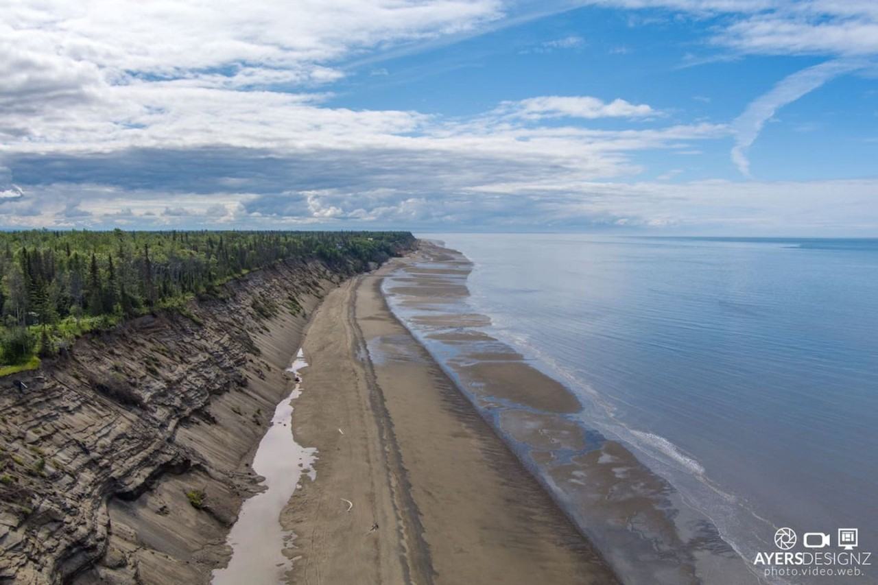 44855 Tide Place - Photo 4 of 25