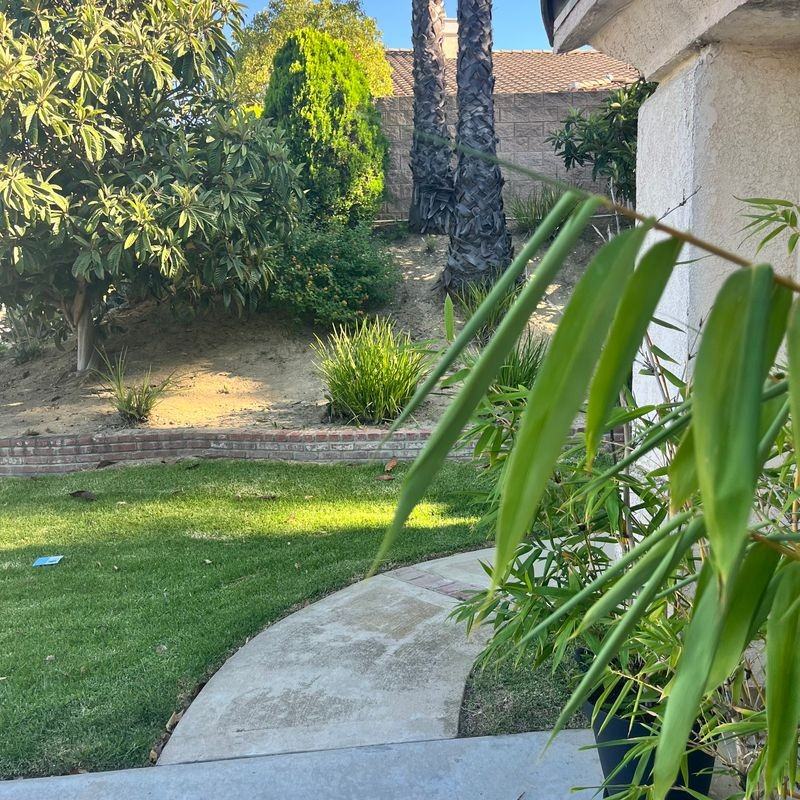 1453 Rancho Hills Dr - Photo 3 of 19