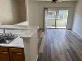 912 S Yampa St #203 - Photo 1 of 1