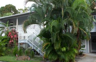 1885 Courtyard Way #206 - Photo 1 of 1