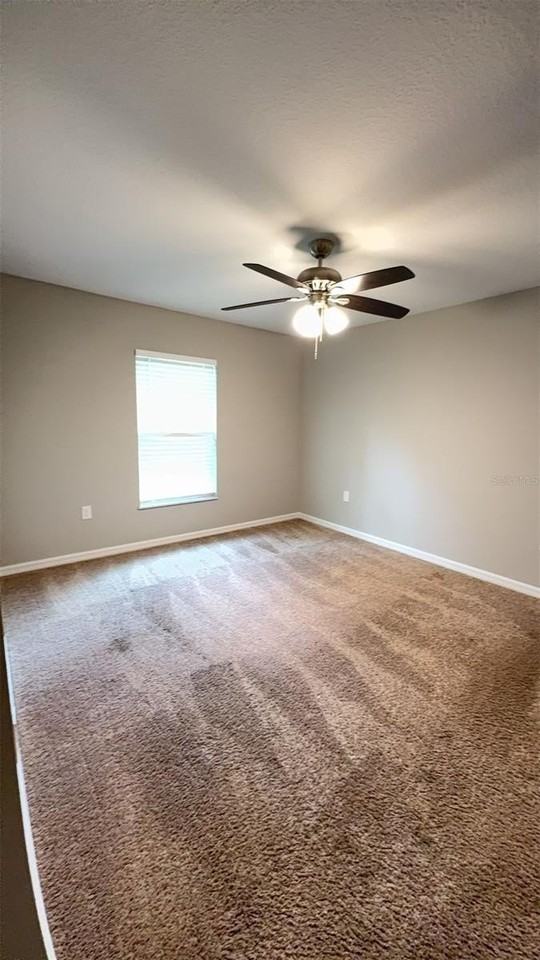 13 Poinfield Place - Photo 7 of 21