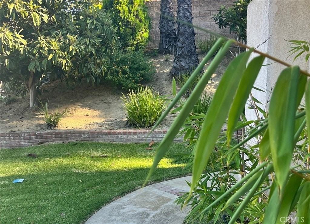 1453 Rancho Hills Dr - Photo 3 of 19