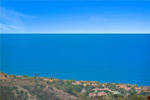 featured image of 28 Coral Reef