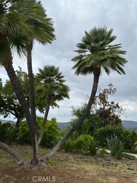 2109 Hillsbury Rd - Photo 4 of 15