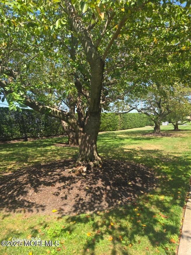 324 Shore Dr ## B3 - Photo 4 of 10