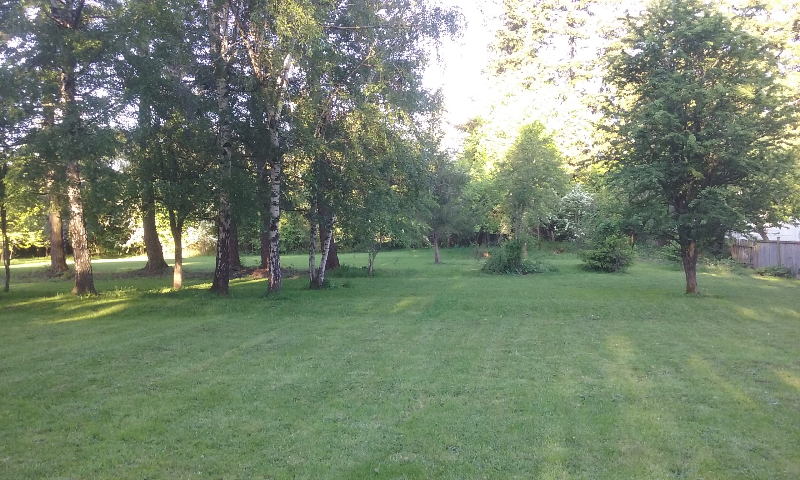 12323 A Street South #2B - Photo 6 of 14