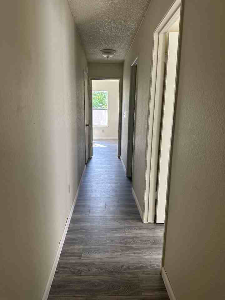 230 Catalina Way - Photo 7 of 20