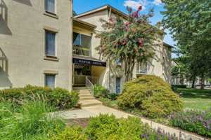 featured image of 12065 Greywing Sq