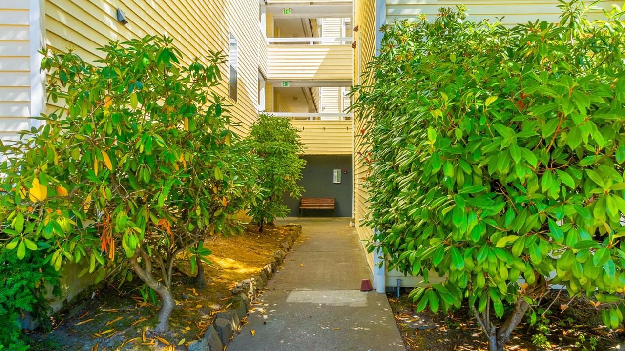 California Flats - Photo 3 of 5