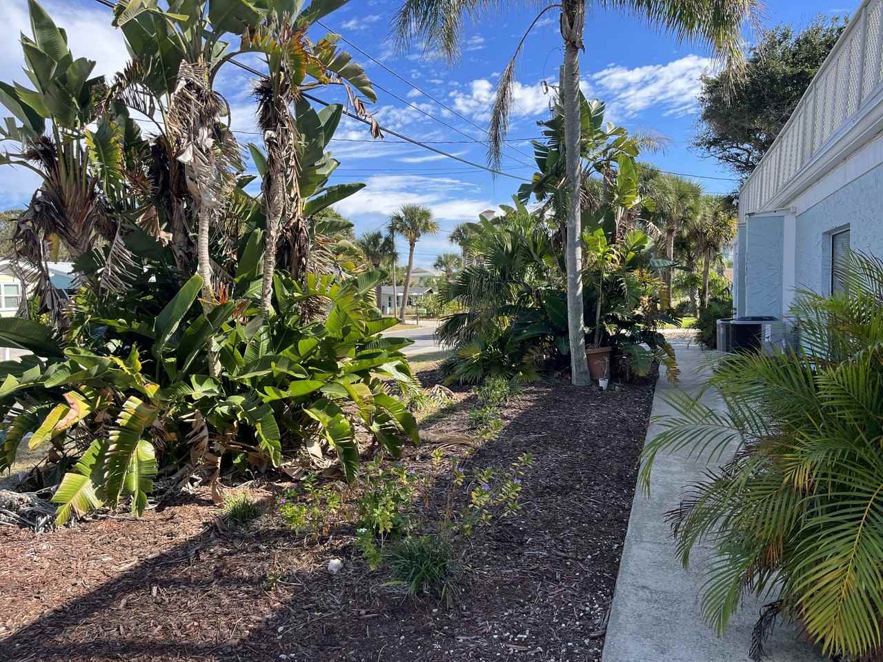 811 Hope Avenue - Photo 3 of 20