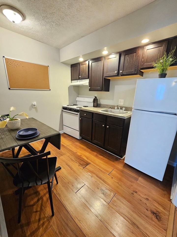 Modern Studio Apartments Steps from UK Campus! - Photo 5 of 14