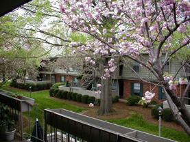 3824 Country Club Rd Apt L #Apt L - Photo 1 of 1