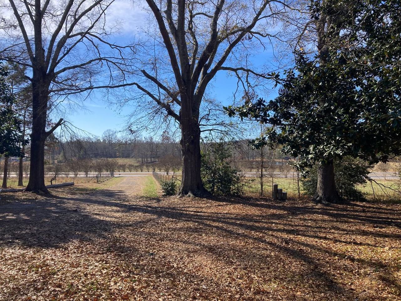 11440 Us Highway 431 - Photo 6 of 33