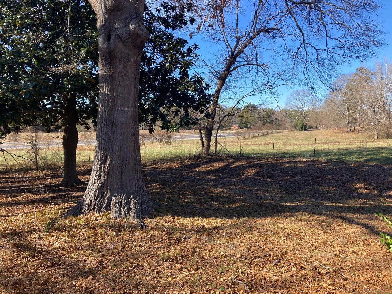 11440 Us Highway 431 - Photo 7 of 33