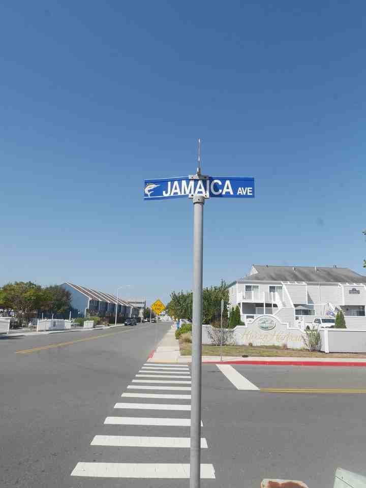 12300 Jamaica Ave - Photo 3 of 17