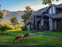 410 White Bark - Photo 1 of 1