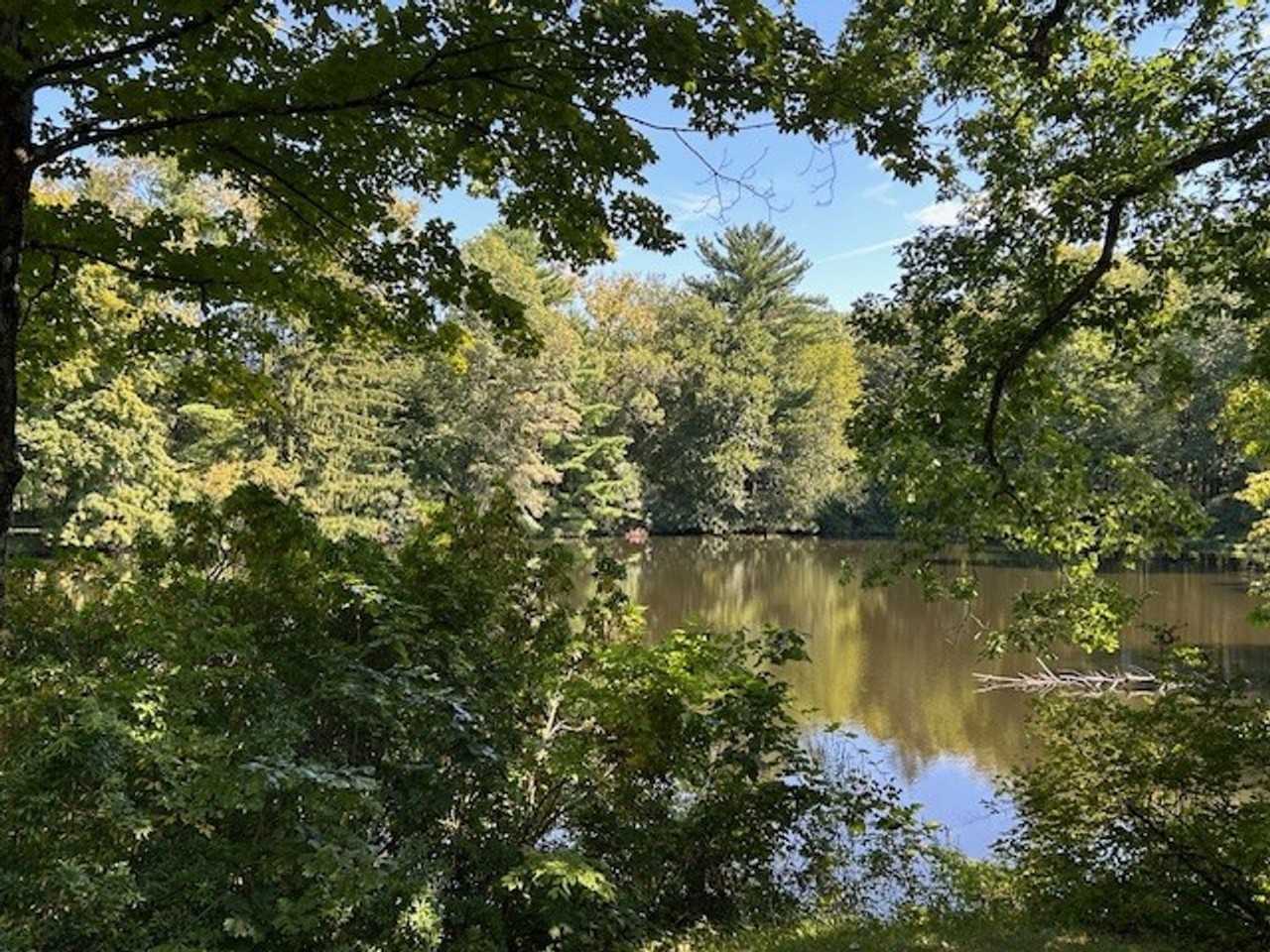 272 Drake Rd - Photo 5 of 39