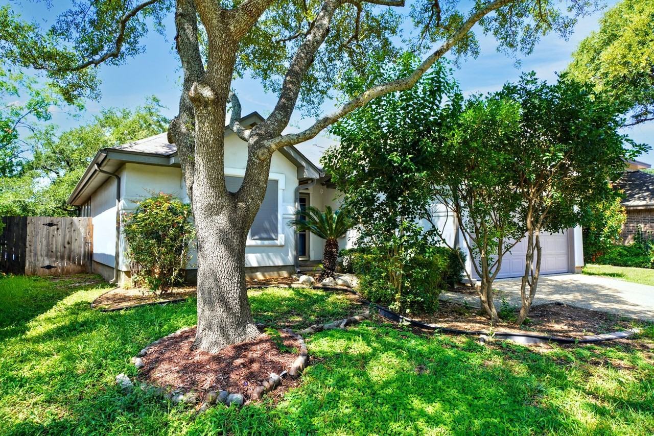 14023 Red Maple Wood - Photo 3 of 37