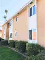 Spacious 1 & 2 Bedroom Apartments - Photo 1 of 1