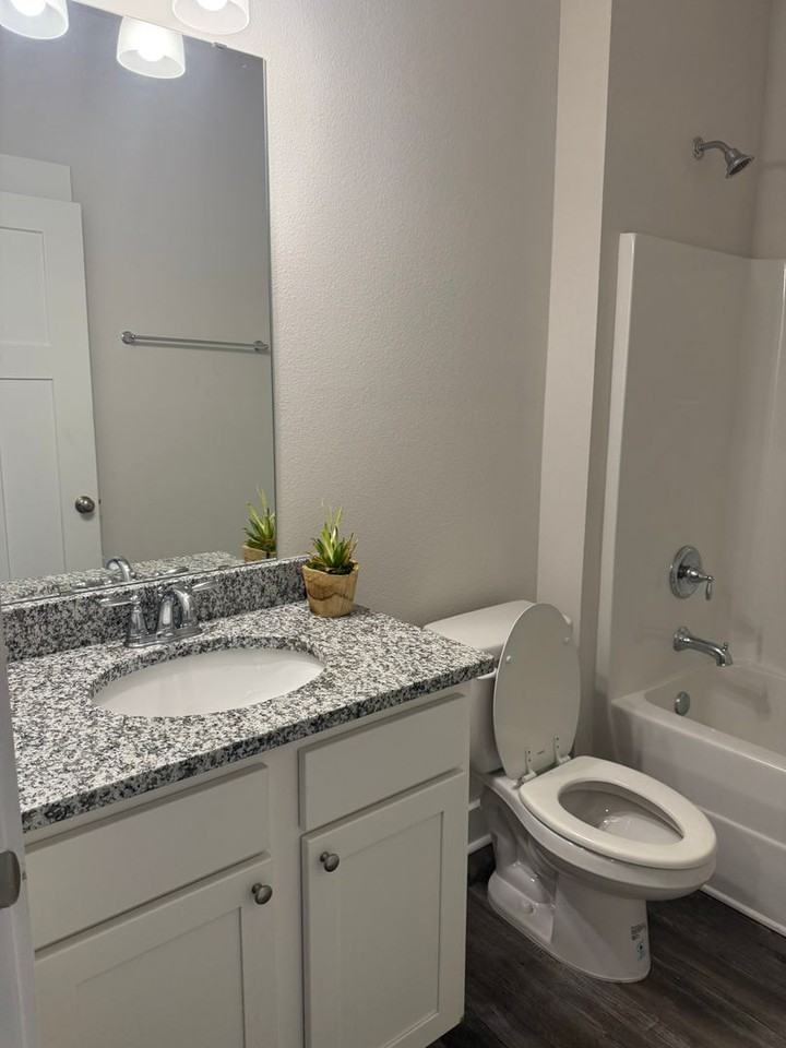 734 Quintana St - Photo 5 of 29