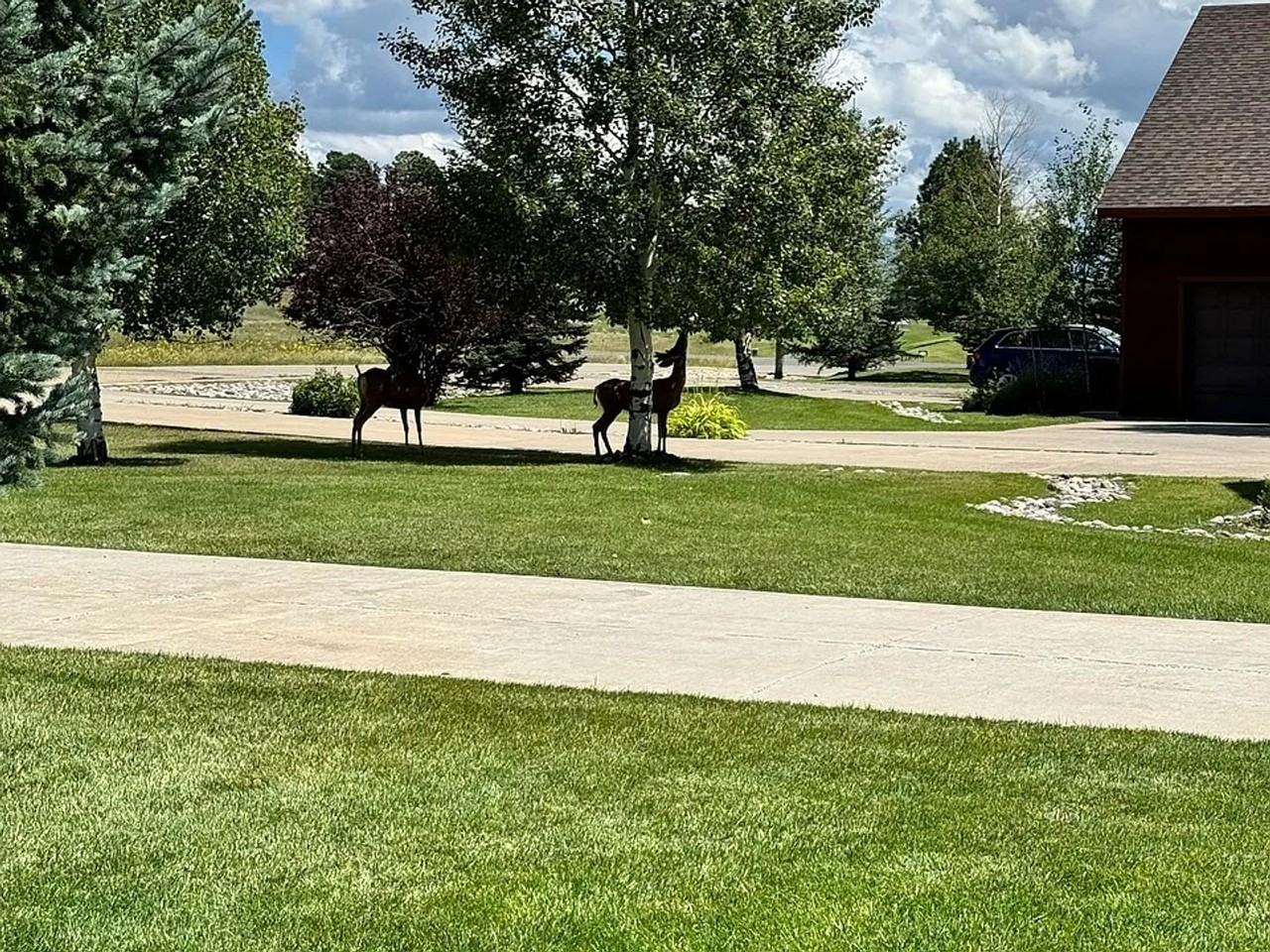 70 Holly Tree Cir - Photo 4 of 23