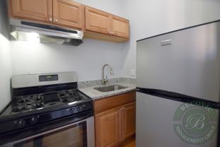 7456 N Greenview Ave #4B - Photo 1 of 1