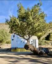 36342 Highway 78 #16 - Photo 1 of 1