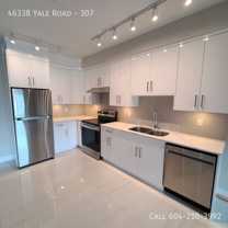 46338 Yale Rd #307 - Photo 1 of 1