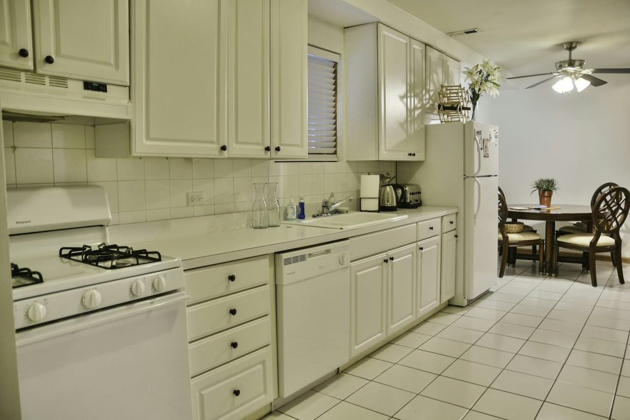 918 North Paulina Street, Unit GF - Photo 6 of 15