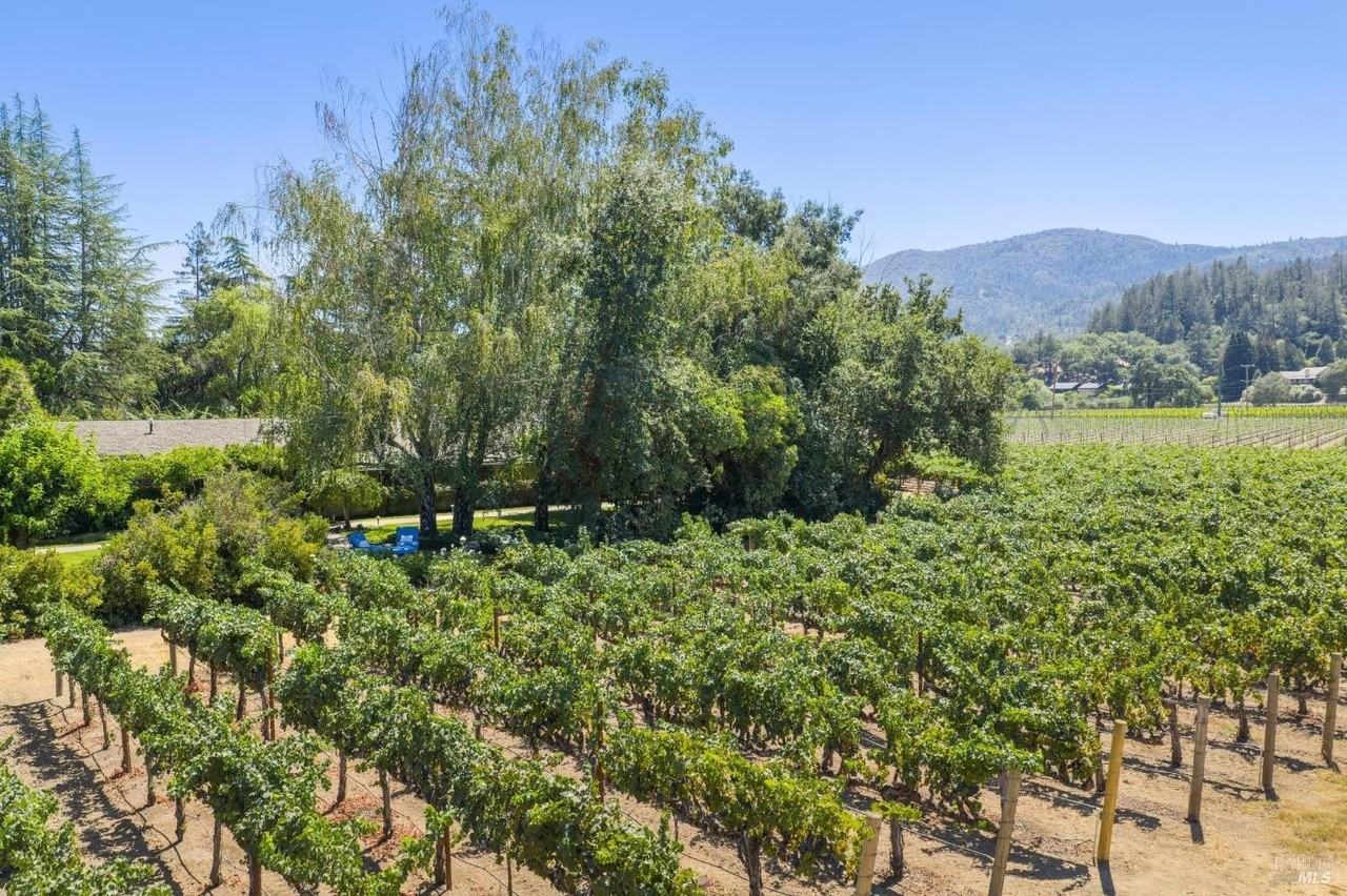 1819 Zinfandel Ln - Photo 3 of 50