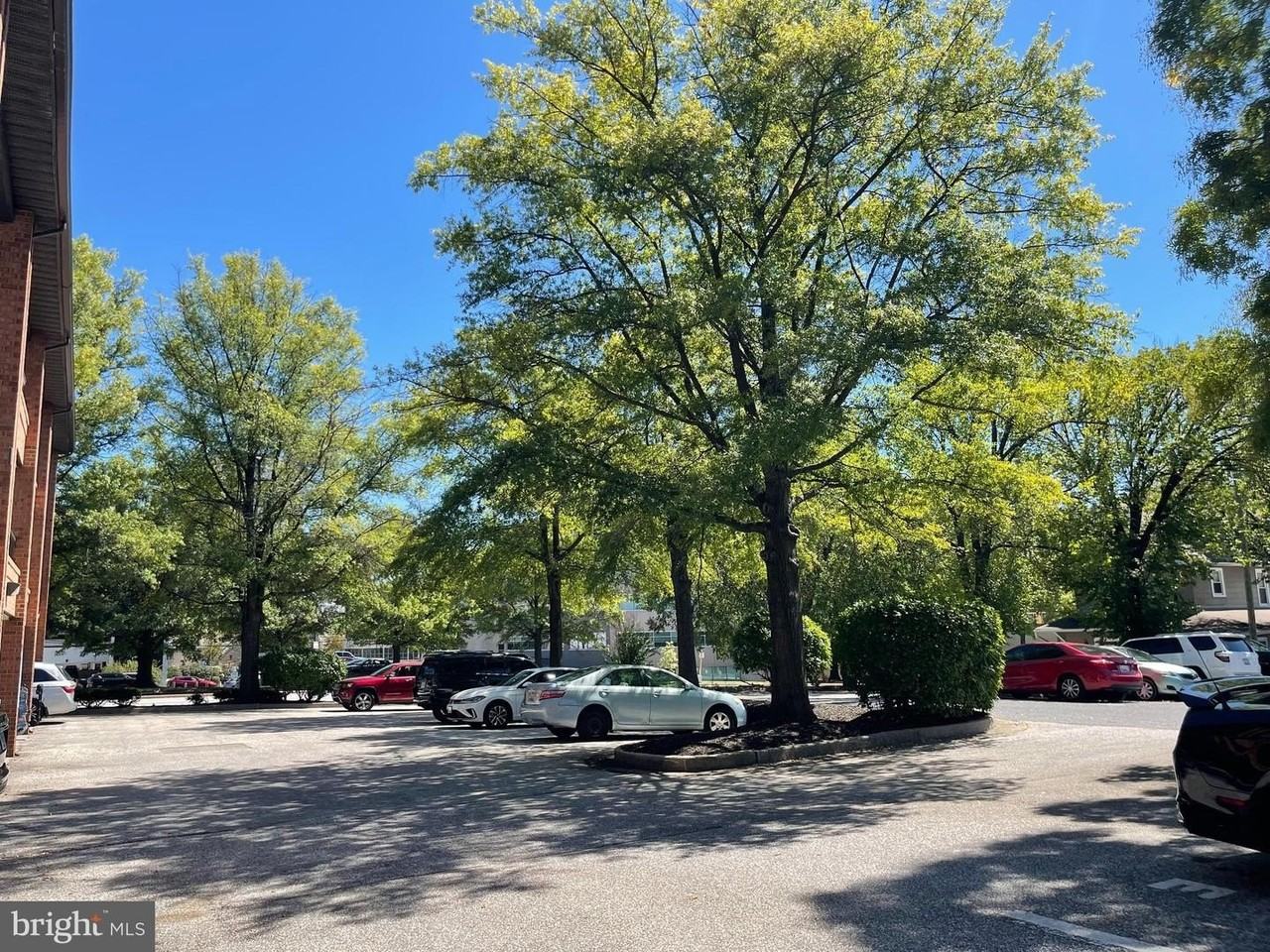 604 Bosley Ave - Photo 3 of 5