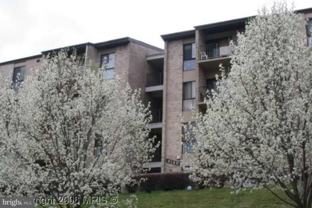 6145 Edsall Rd #6145J - Photo 1 of 1