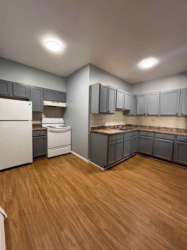 Clyde - Photo 4 of 8