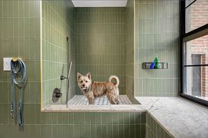 featured image of 788 Willoughby Ave