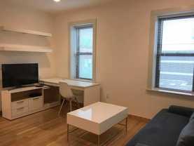 115 Mount Auburn St #13 - Photo 1 of 1