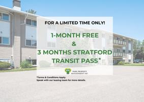 featured image of 295 Home St