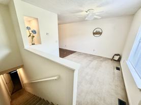 805 Old Gray Station Rd - Photo 1 of 1