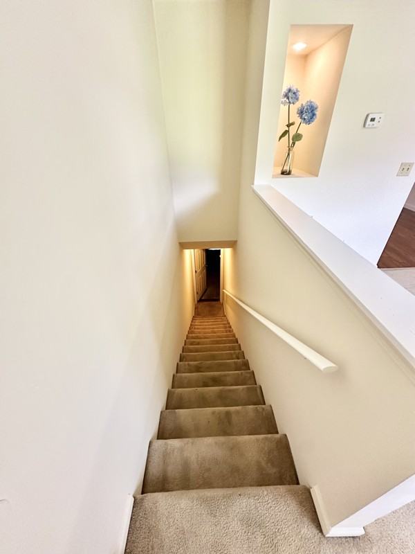 805 Old Gray Station Rd - Photo 2 of 9