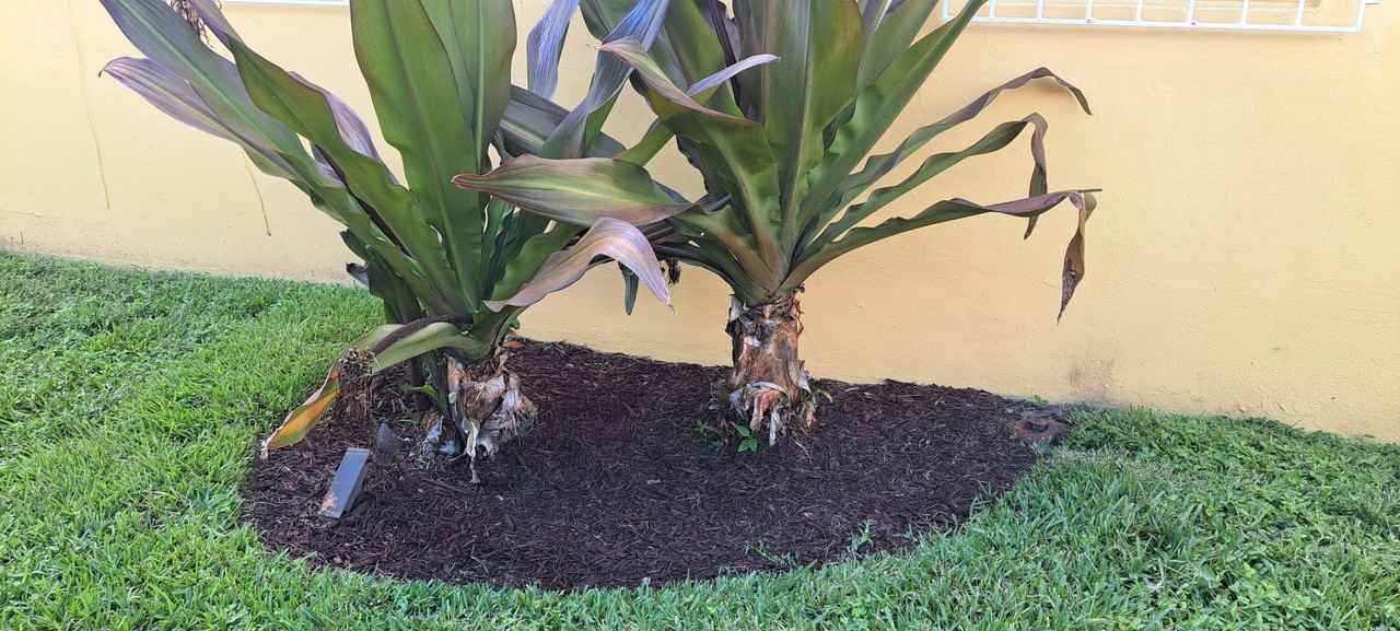 4935 Nw 182nd St #NA - Photo 7 of 18