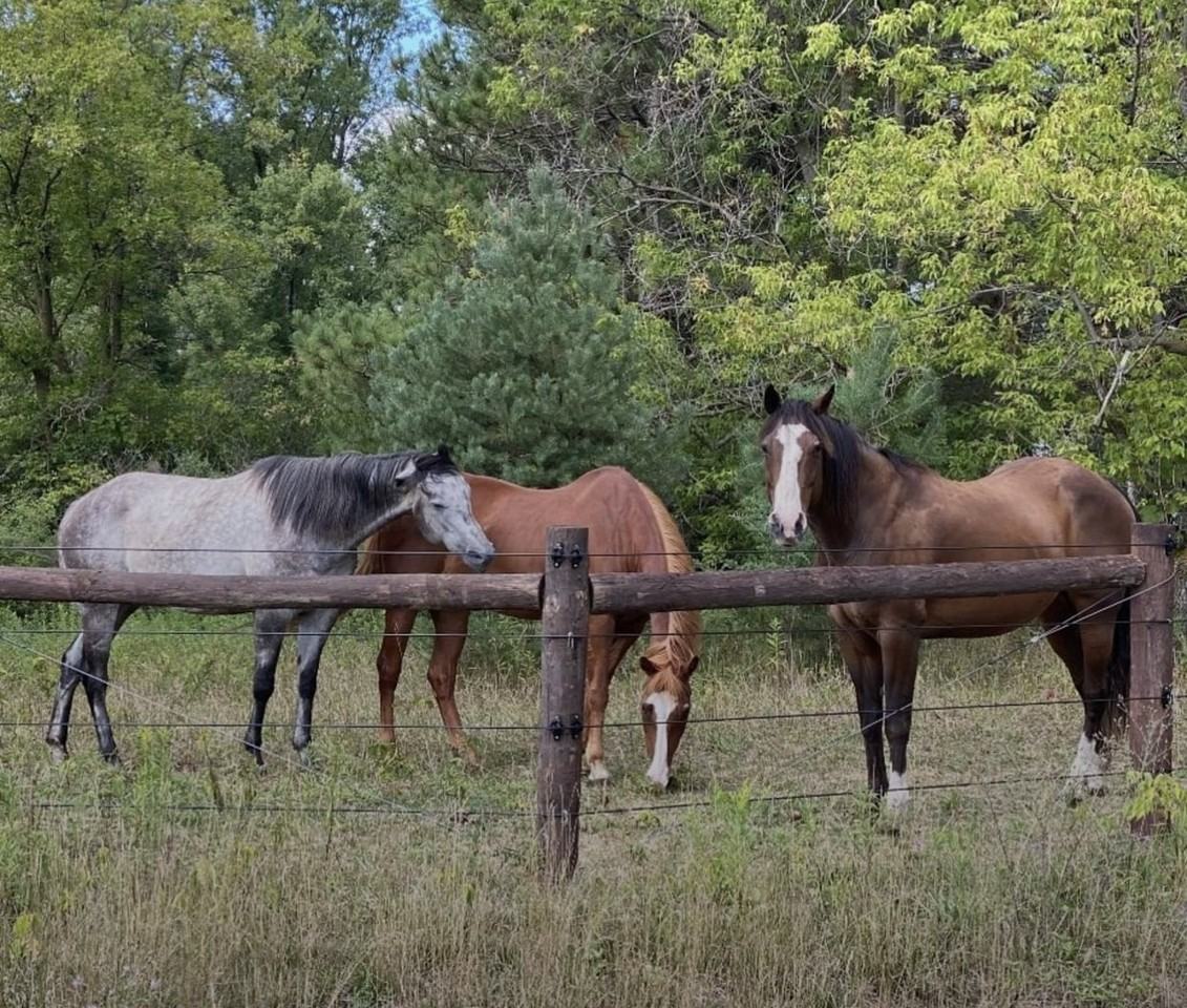 864 Crane Hill Trl #NA - Photo 2 of 14