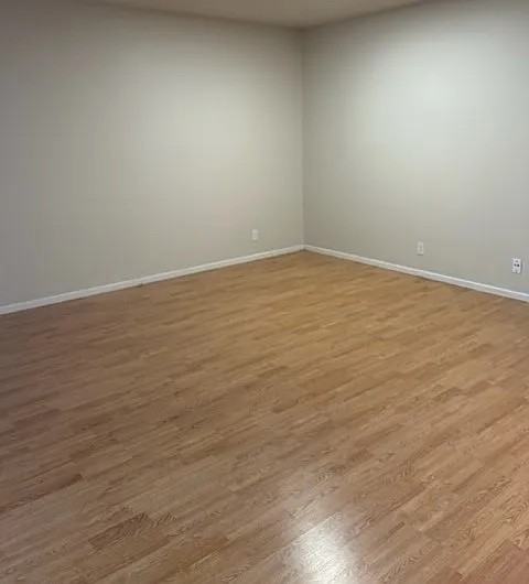 Delave - Photo 4 of 11