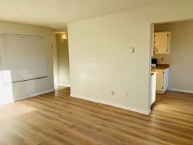 3953 Clear Acre Ln #311 - Photo 1 of 1