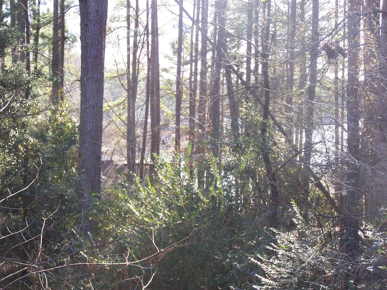 426 Long Reach Dr - Photo 3 of 33