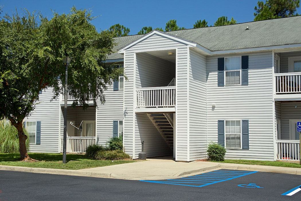 Summer Trace - Photo 3 of 22