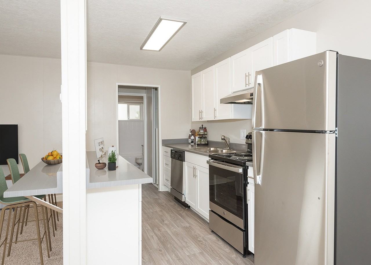 Alexander Vincent I - Photo 3 of 19